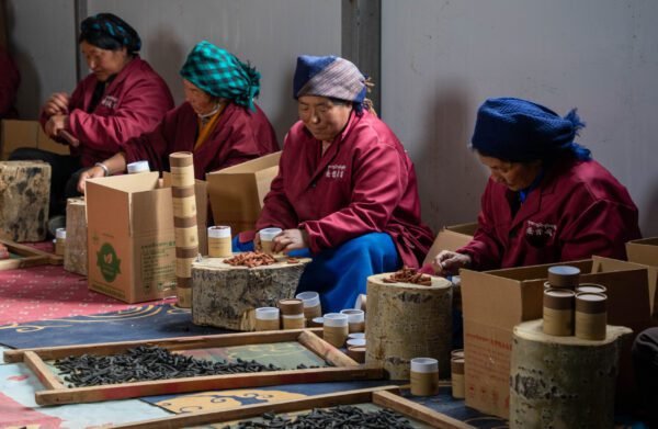 Traditional Tibetan Healing Incense (Handmade in Monastery)